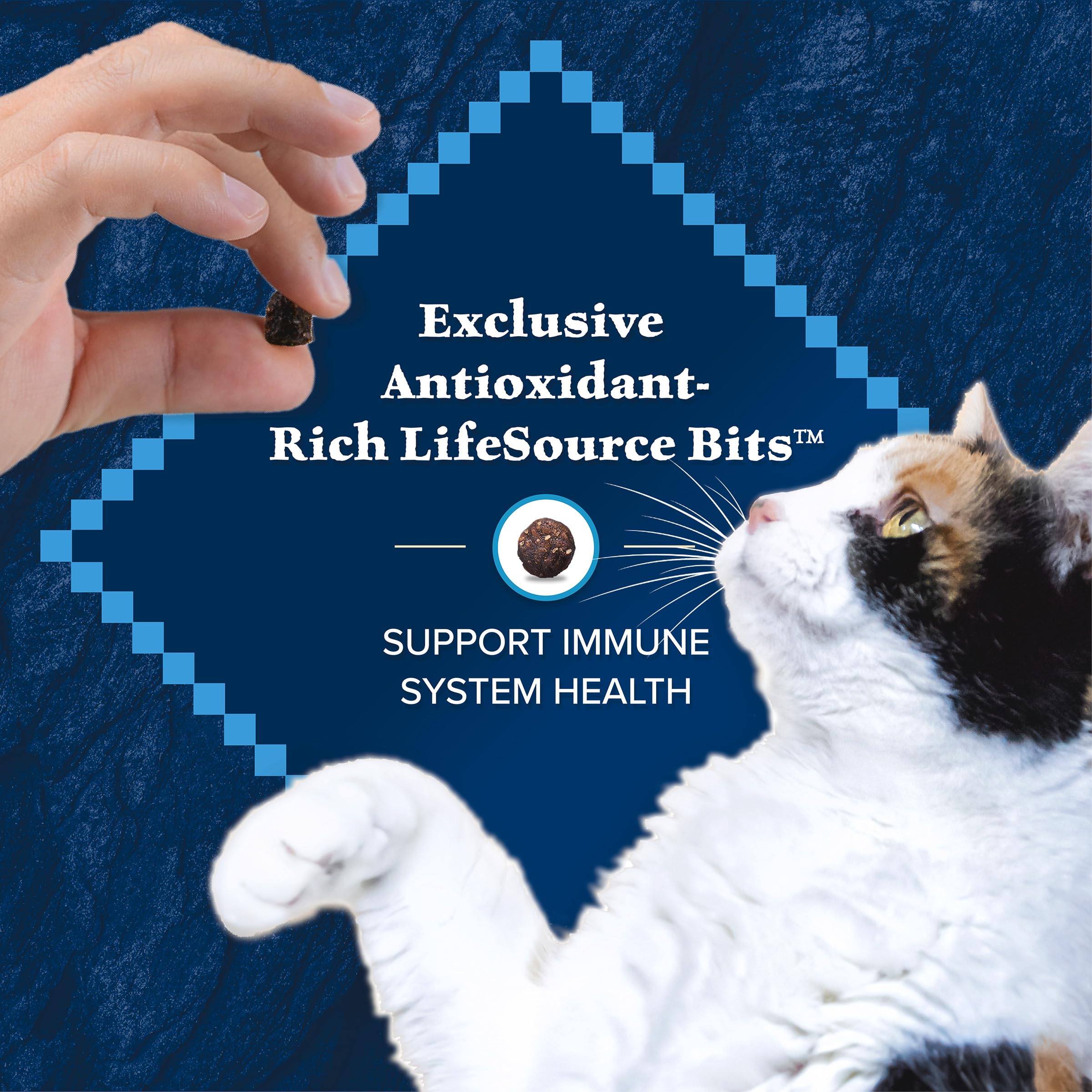 Blue Buffalo Wilderness with Chicken Natural High-Protein Grain-Free Dry Food for Adult Cats, Real Chicken First, Antioxidant-Rich LifeSource Bits Support Immunity, Promotes Strong Muscles, 6 lbs. 🍁 All In One Marketplace Canada