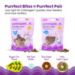 Catstages Buggin' Out Puzzle & Play, Interactive Treat Puzzle Cat Toy, Green 🍁 All In One Marketplace Canada