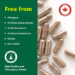 Organika Korean Red Ginseng- 6 Year Old Roots, Energy Support, Stress Support, Warming Effect- 100caps 🍁 All In One Marketplace Canada