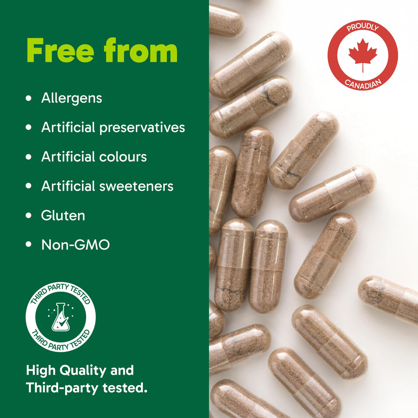 Organika Korean Red Ginseng- 6 Year Old Roots, Energy Support, Stress Support, Warming Effect- 100caps 🍁 All In One Marketplace Canada