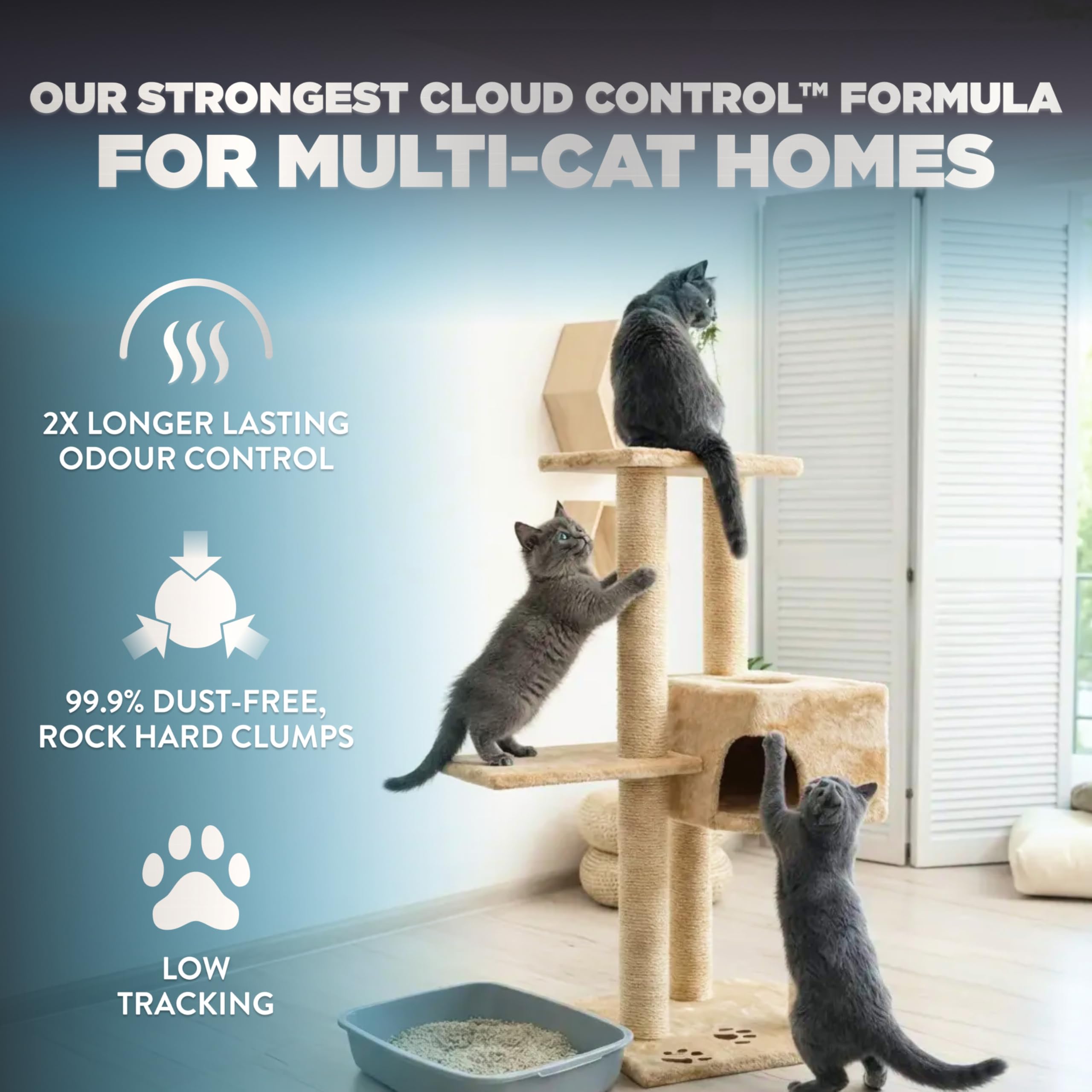 ARM & HAMMER Platinum Cat Litter, Cloud Control, Complete Odour Sealing with 14 Days of Odour Control, Multi-Cat Clumping Cat Litter with Hypoallergenic Light Scent, 8.16kg (Pack of 1) 🍁 All In One Marketplace Canada
