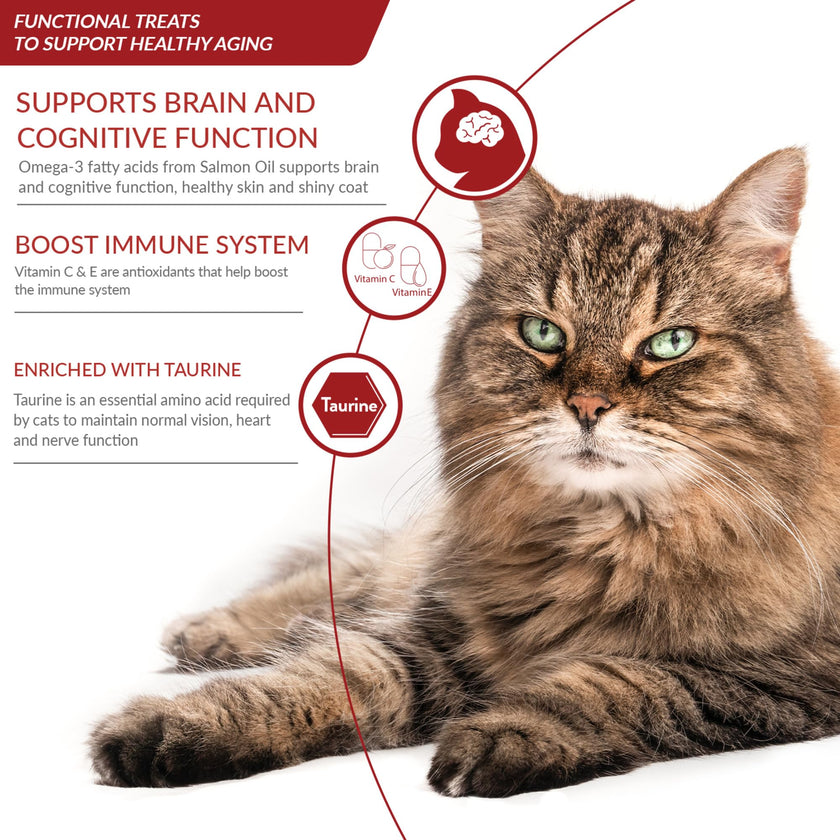 INABA Churu for Senior 10+, Creamy Lickable Cat Treats with Taurine, Vitamin E & C, 14 Grams Each, 60 Tubes, Tuna & Chicken Variety 🍁 All In One Marketplace Canada