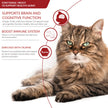 INABA Churu for Senior 10+, Creamy Lickable Cat Treats with Taurine, Vitamin E & C, 14 Grams Each, 40 Tubes, Tuna & Chicken Variety 🍁 All In One Marketplace Canada