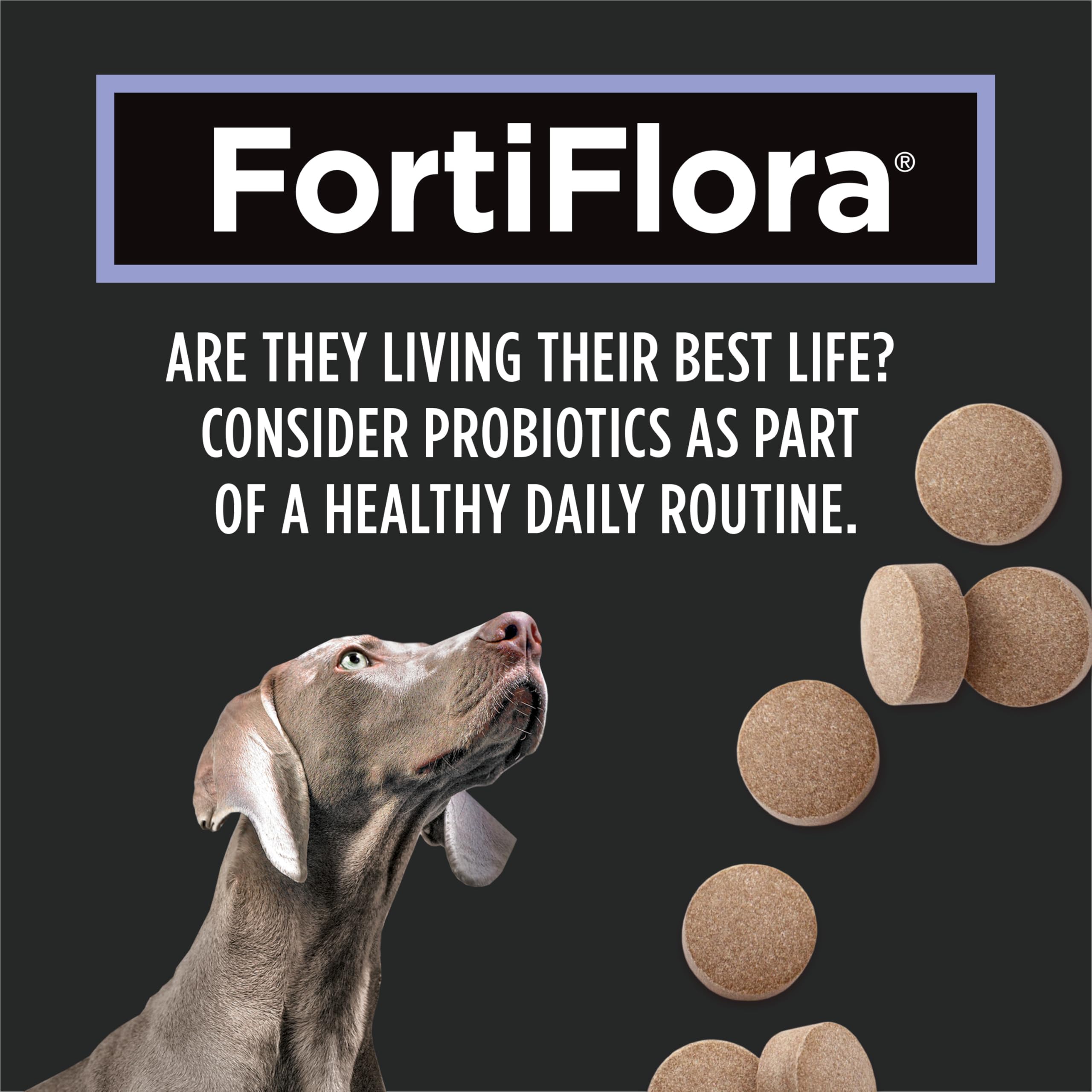 Purina Pro Plan Veterinary Supplements, Dog Probiotic Tablets - 79 g (45 Tablets) 🍁 All In One Marketplace Canada