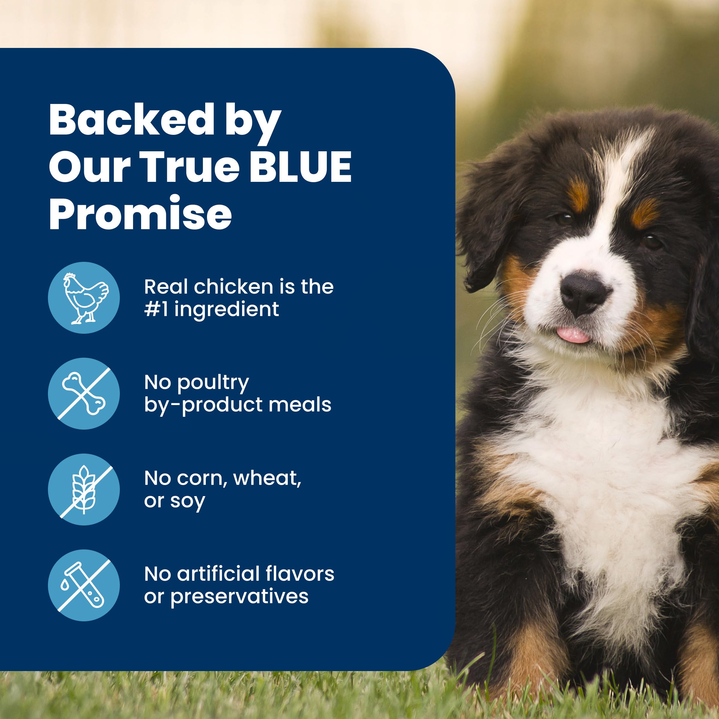 Blue Buffalo Life Protection Formula Chicken & Brown Rice Large Breed Puppy Dry Dog Food with DHA & ARA, Supports Immunity with LifeSource Bits, Promotes Healthy Muscles & Strong Bones, 11.7kg/26 lbs 🍁 All In One Marketplace Canada