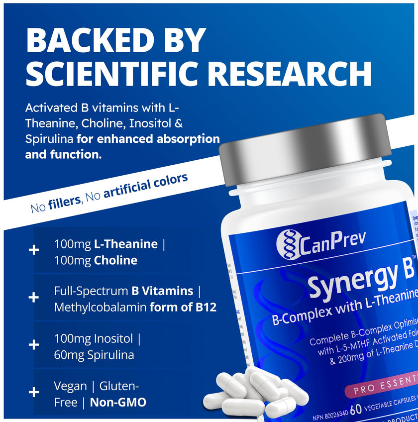 CanPrev Synergy B Complex 60 V-Caps 30-Day Supply - Vitamin B Supplement with L-Theanine 200mg - Complete B Complex Optimized with L-5-MTHF Activated Folate & Spirulina - Vegan, Non-GMO & Gluten-Free 🍁 All In One Marketplace Canada