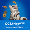 Friskies Party Mix Cat Treats, Ocean Crunch Ocean Whitefish 510g (3 Pack) 🍁 All In One Marketplace Canada