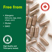 Organika Canadian-Made Chanca Piedra 500 mg - UTI Support | Kidney, Gallblader and Urinary Support, Cleansing- 90 vcaps 🍁 All In One Marketplace Canada