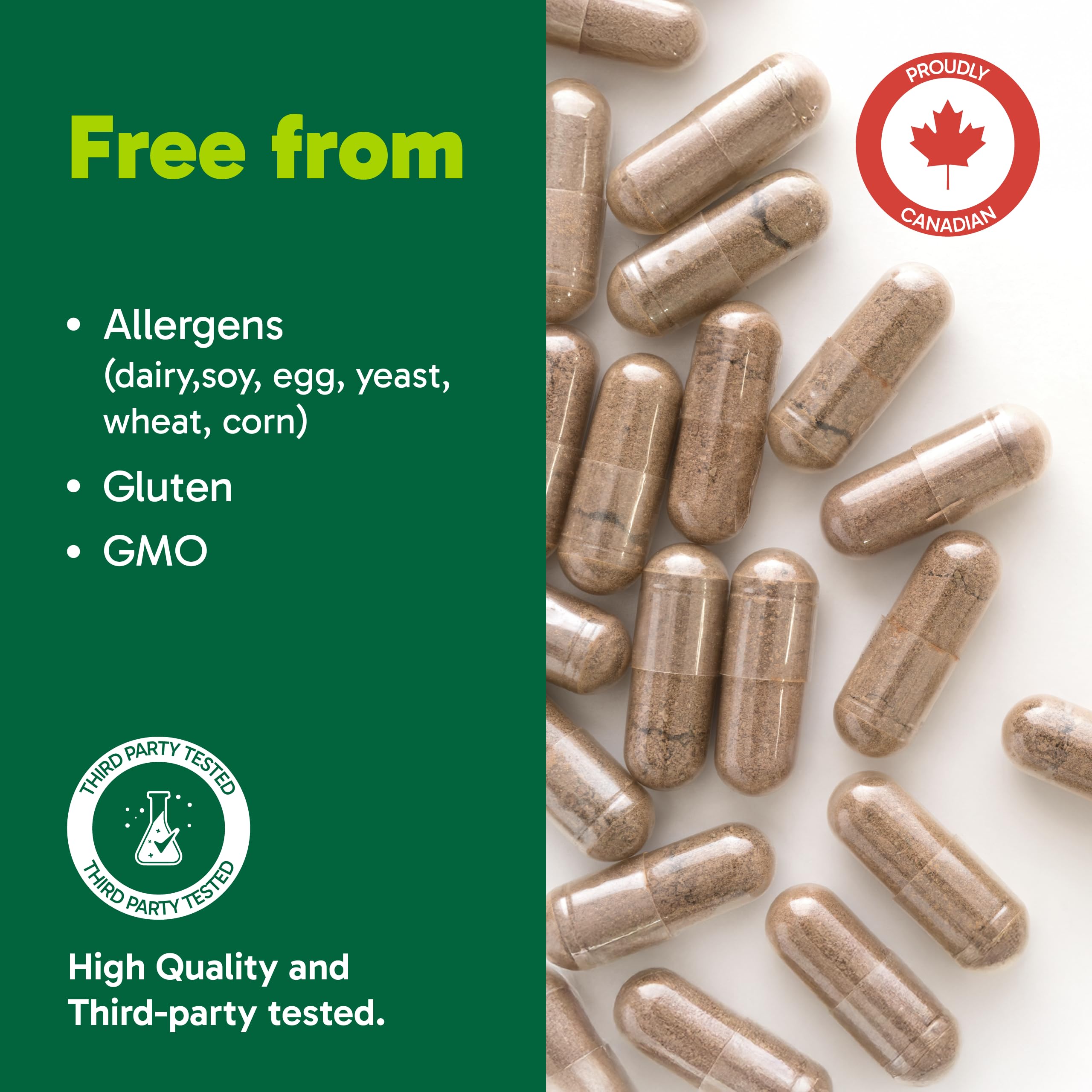 Organika Canadian-Made Chanca Piedra 500 mg - UTI Support | Kidney, Gallblader and Urinary Support, Cleansing- 90 vcaps 🍁 All In One Marketplace Canada