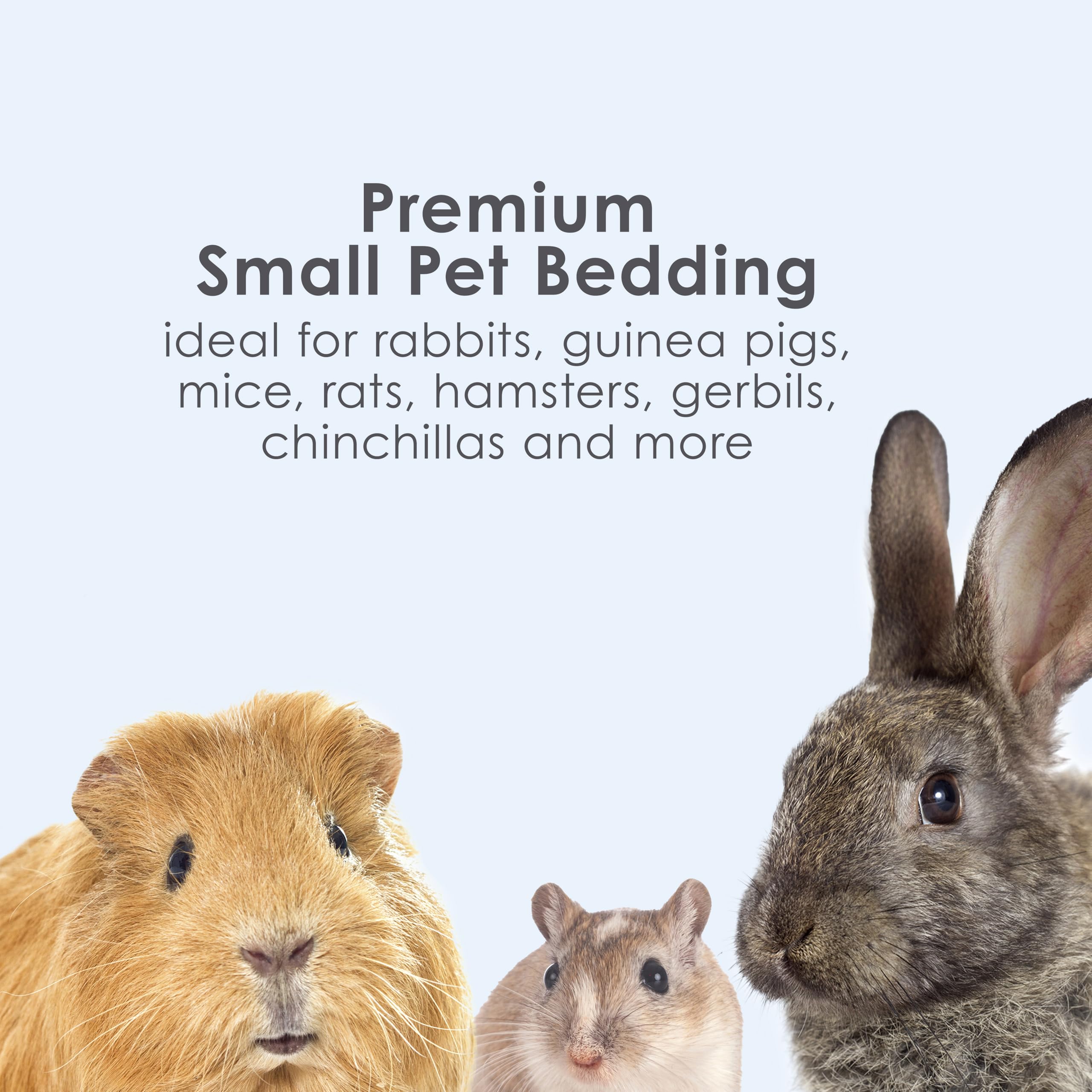 Kaytee Clean & Cozy White Bedding Pet For Guinea Pigs, Rabbits, Hamsters, Gerbils, and Chinchillas, 49.2 Liters 🍁 All In One Marketplace Canada