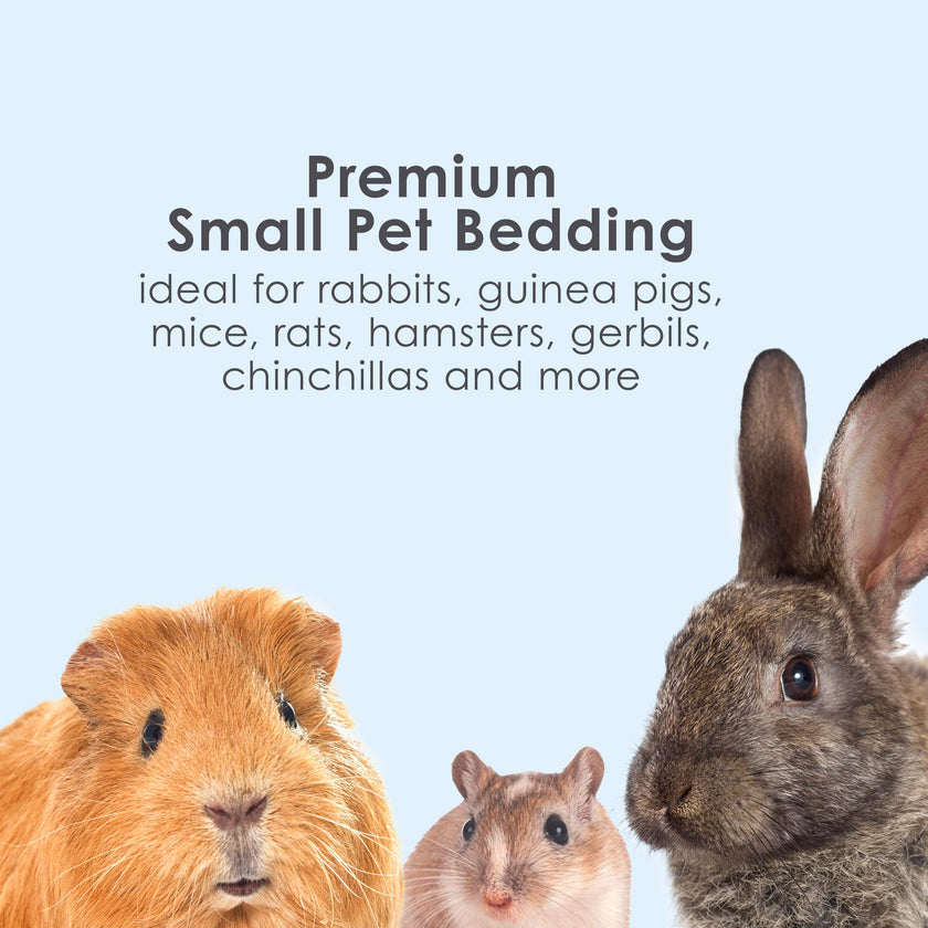 Kaytee Clean & Cozy White Bedding Pet For Guinea Pigs, Rabbits, Hamsters, Gerbils, and Chinchillas, 49.2 Liters 🍁 All In One Marketplace Canada