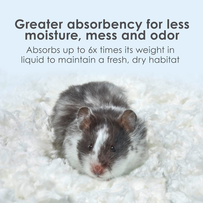 Kaytee Clean & Cozy White Bedding Pet For Guinea Pigs, Rabbits, Hamsters, Gerbils, and Chinchillas, 49.2 Liters 🍁 All In One Marketplace Canada
