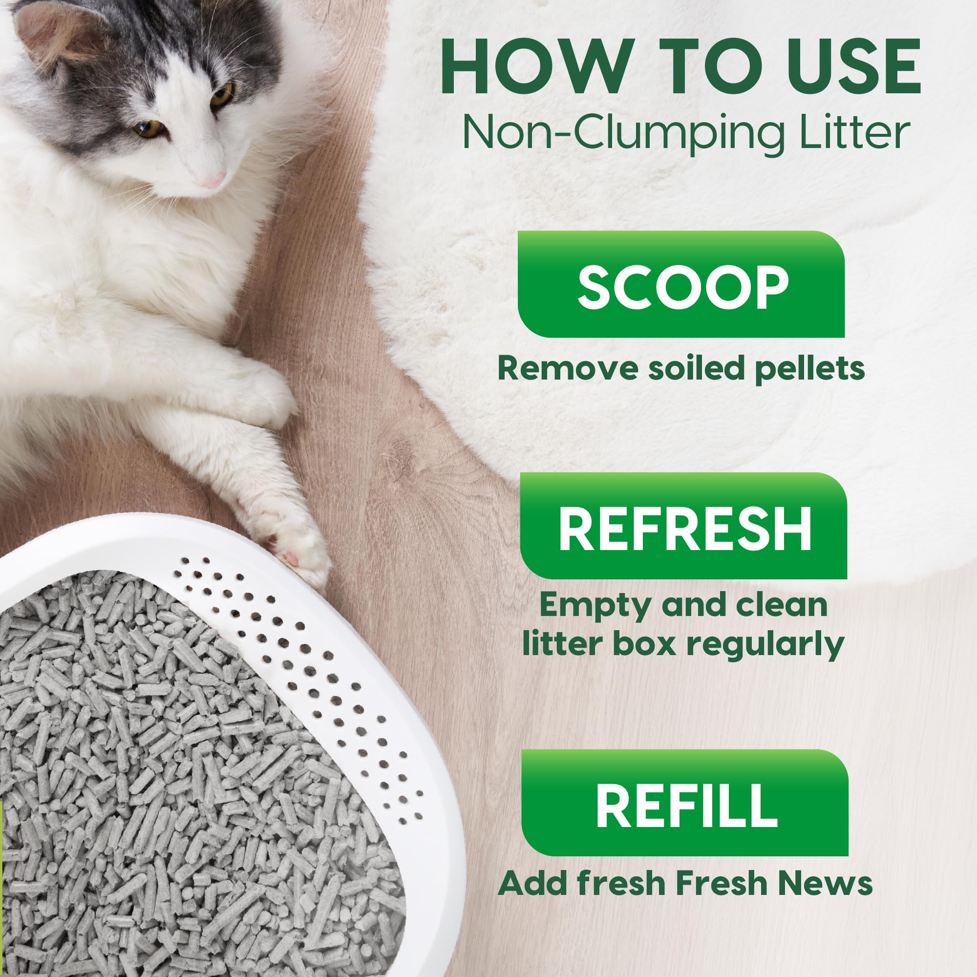 Fresh News Cat Litter, 25 Pounds, Beige 🍁 All In One Marketplace Canada