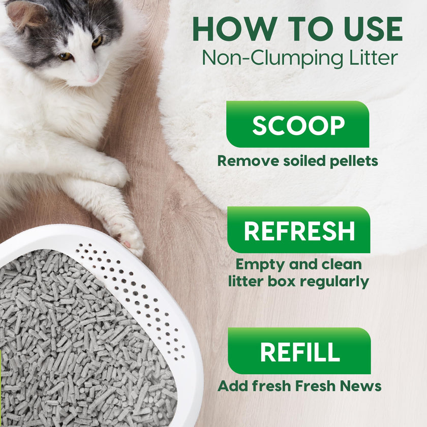 Fresh News Cat Litter, 25 Pounds, Beige 🍁 All In One Marketplace Canada
