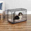 MidWest Homes for Pets 30-Inch New World Crate for Medium Breeds, 21-40 lbs, Double Door Folding Dog Crate, Leak-Proof Tray & Secure Latches, Portable, Durable & Easy to Assemble 🍁 All In One Marketplace Canada