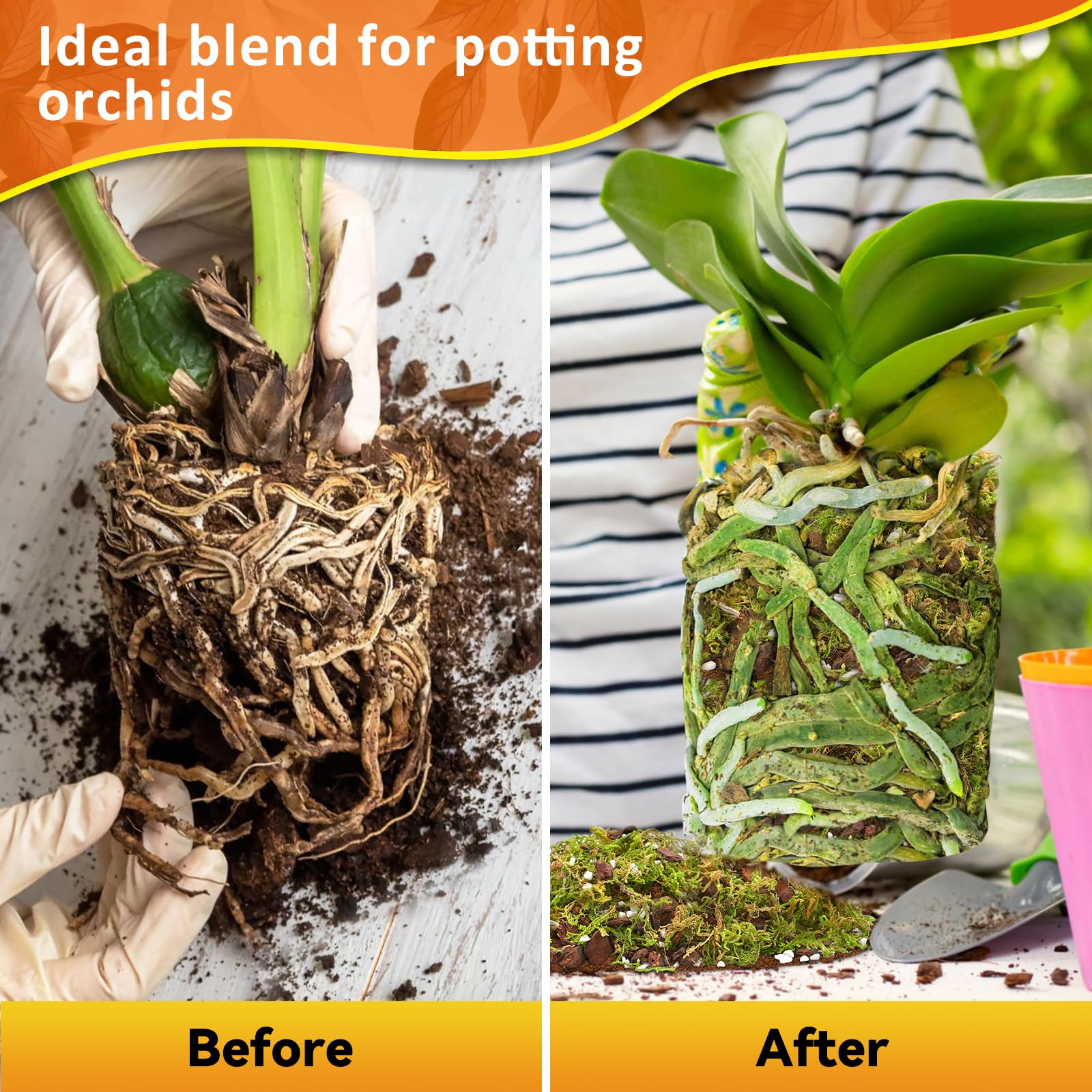 Riare 2L Orchid Potting Mix for Repotting- Orchids Repotting Kit Include Moss, Pine Bark, Perlite, Coco Peat- Premium Orchid Soil Medium for Indoor Potted Plants Root Ventilation & Expanding 🍁 All In One Marketplace Canada