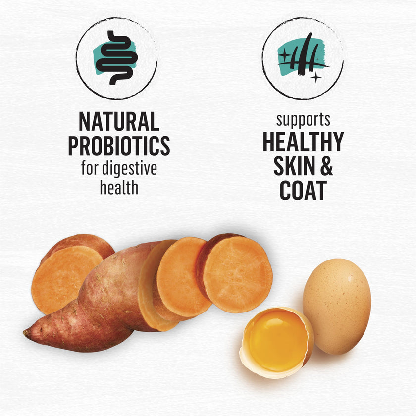 Beyond Grain Free Natural Dry Cat Food, Wild-Caught Whitefish & Free Run Egg - 2.26 kg Bag 🍁 All In One Marketplace Canada