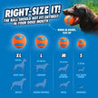 Chuckit! Fetch Ball Medley, Medium, Dog Ball, 3 Pack, Ultra, Fetch and Rugged Balls Included 🍁 All In One Marketplace Canada