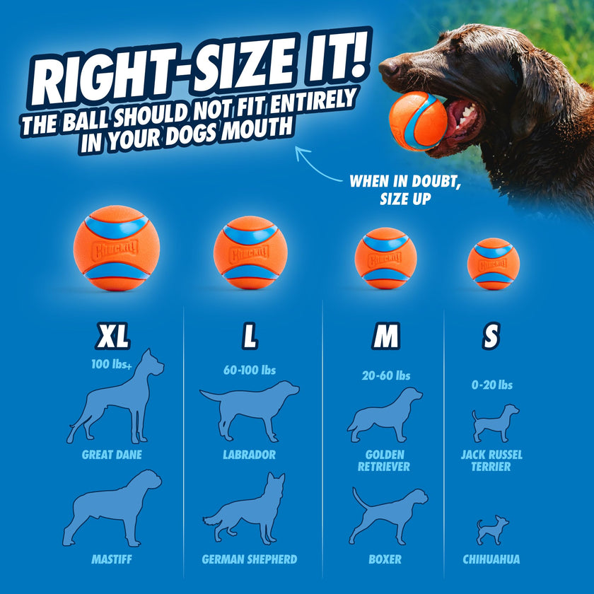 Chuckit! Fetch Ball Medley, Medium, Dog Ball, 3 Pack, Ultra, Fetch and Rugged Balls Included 🍁 All In One Marketplace Canada