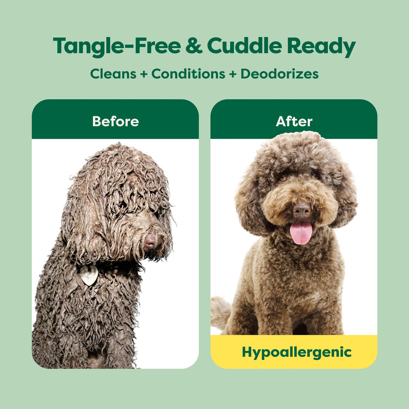Earth Rated (A Canadian Company), 3-in-1 Detangling Dog Shampoo and Conditioner, Deodorizing Oatmeal Shampoos for Dogs and Puppies, Great for Smelly Pets, White Tea and Basil Scent, 473 ml 🍁 All In One Marketplace Canada