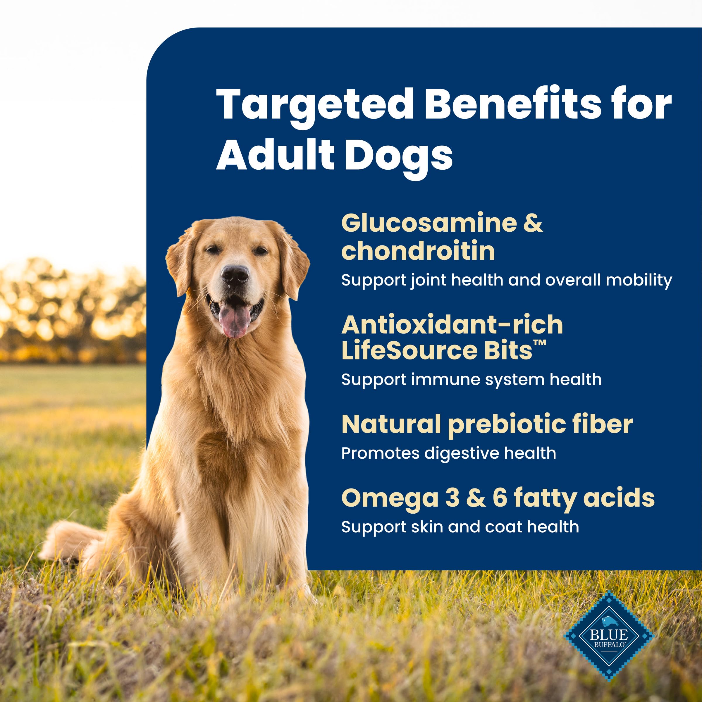 Blue Buffalo Life Protection Formula Chicken & Brown Rice Adult Dry Dog Food, Supports Immunity with Antioxidant-Rich LifeSource Bits, Promotes Healthy Muscle Development, 2.7kg/6lbs 🍁 All In One Marketplace Canada