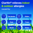 Claritin Rapid Dissolve Allergy Medicine, 24-Hour Non-Drowsy Relief 10 mg, 50 Tablets 🍁 All In One Marketplace Canada