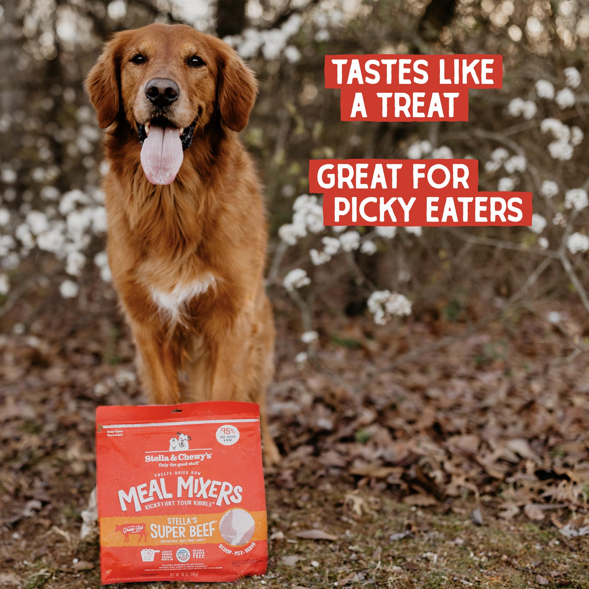 Stella & Chewy’s Freeze Dried Raw Super Beef Meal Mixer – Dog Food Topper for Small & Large Breeds – Grain Free, Protein Rich Recipe – 510g Bag 🍁 All In One Marketplace Canada