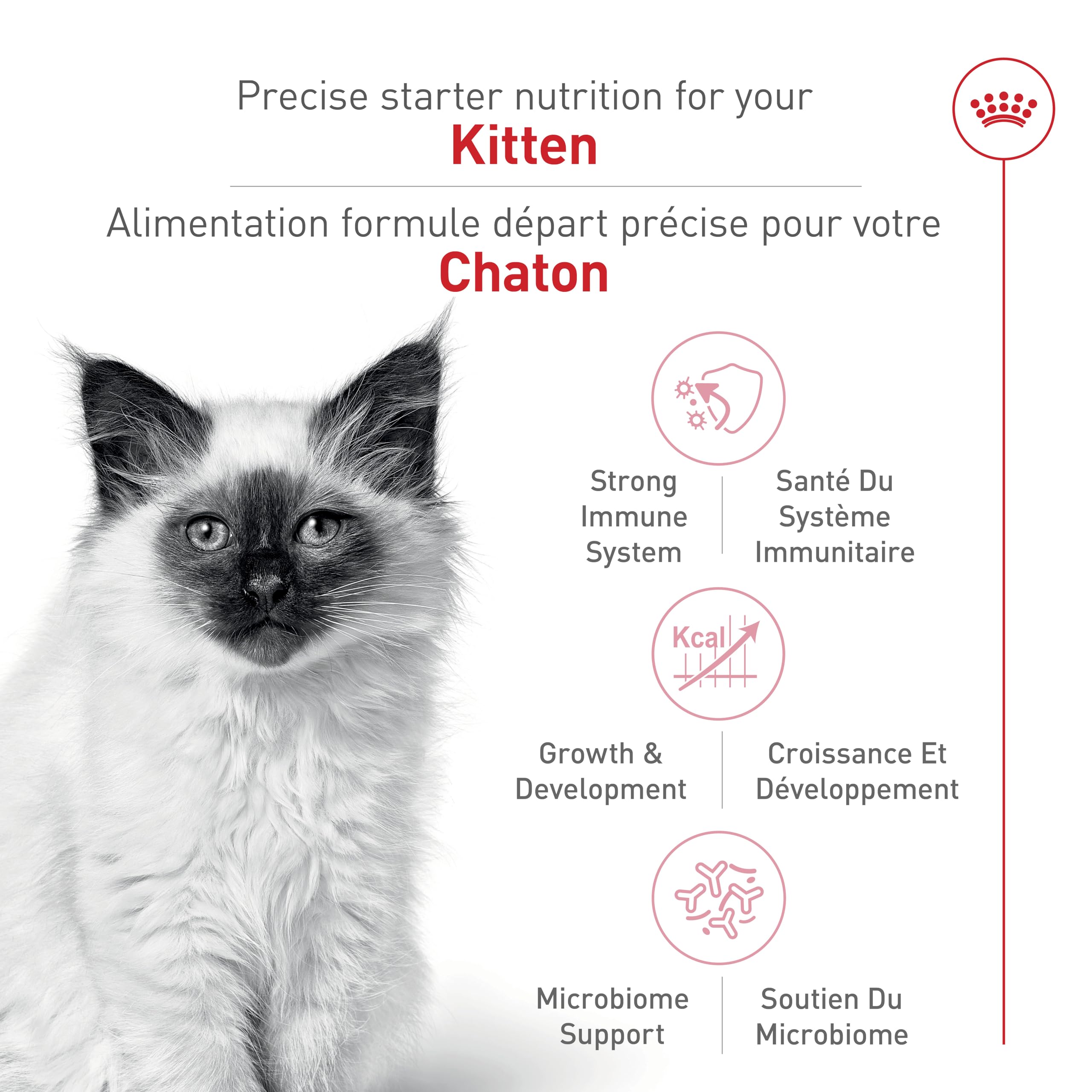 Royal Canin Feline Health Nutrition Dry Kitten Food, Supports Digestive Health, Immune Support and Healthy Energy, 3 lb Bag 🍁 All In One Marketplace Canada