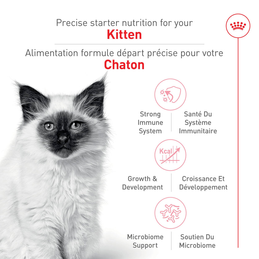Royal Canin Feline Health Nutrition Dry Kitten Food, Supports Digestive Health, Immune Support and Healthy Energy, 14 lb Bag 🍁 All In One Marketplace Canada