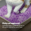 PetSafe ScoopFree Premium Lavender Crystal Cat Litter, 3-Pack – Lightly Scented Litter – Superior Odor Control – Low Tracking for Less Mess – Lasts Up to 6 Months, 24 lb Total (3 Pack of 8 lb Bags) 🍁 All In One Marketplace Canada