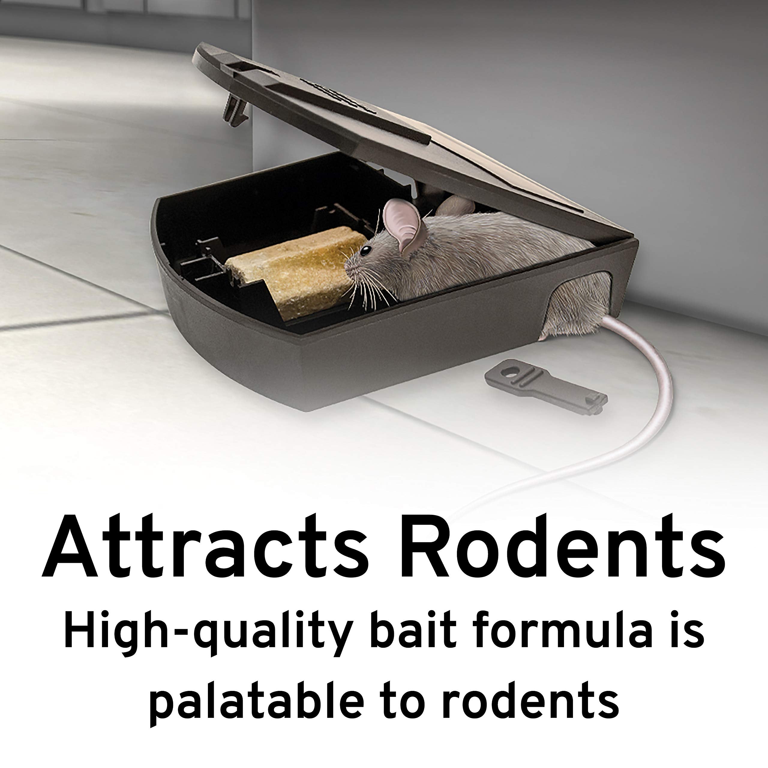 Victor Fast-Kill Refillable Mouse Poison Bait Station - Mouse Poisoning Bait - Mice Poisoning Station - Reusable Rodent Bait Stations 🍁 All In One Marketplace Canada