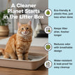 Kitty Sift Disposable Cat Litter Box Large, 6 Count, Durable Portable for Travel and Home, Eco-Friendly Disposable Litter Box Controls Odor 🍁 All In One Marketplace Canada