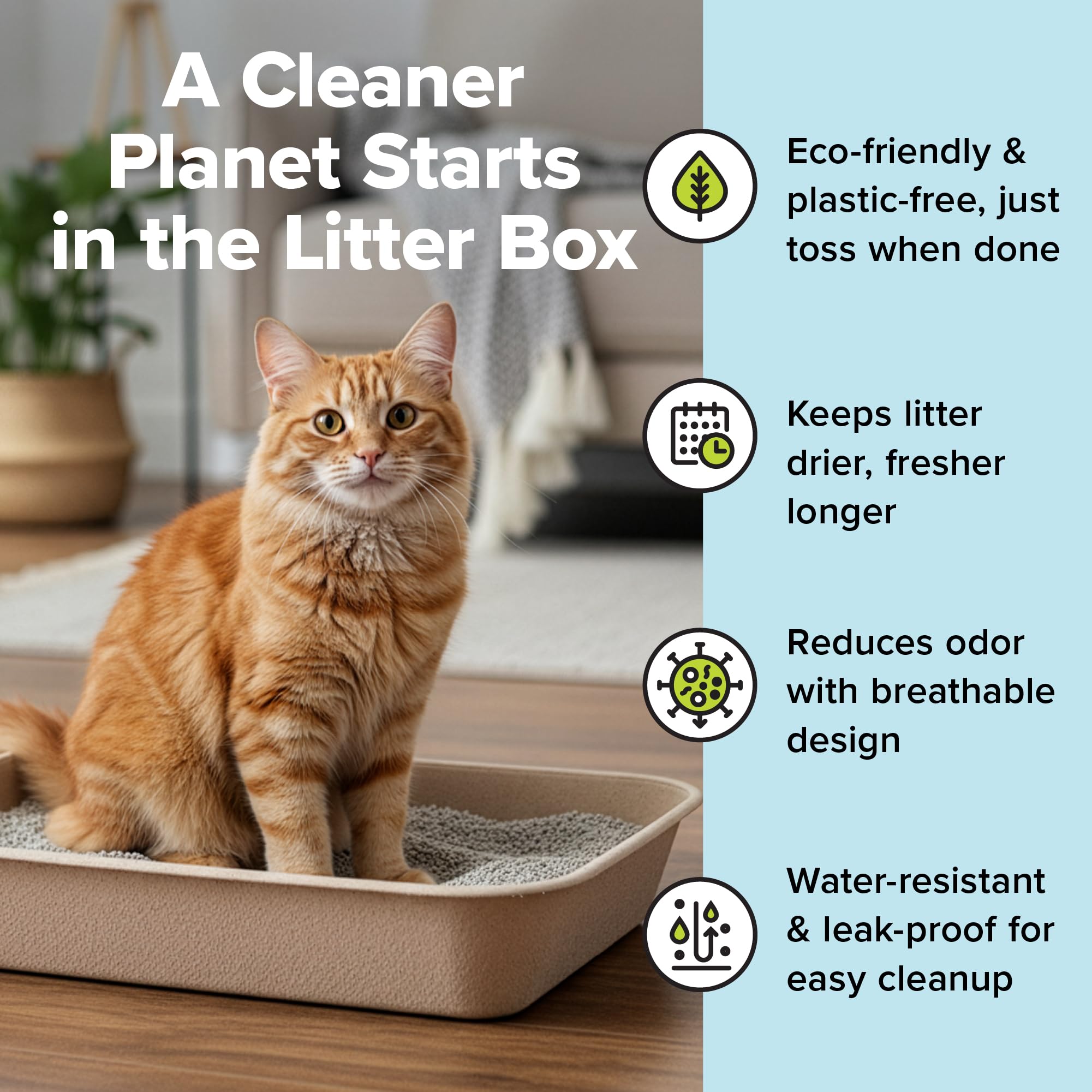 Kitty Sift Disposable Cat Litter Box Large, 6 Count, Durable Portable for Travel and Home, Eco-Friendly Disposable Litter Box Controls Odor 🍁 All In One Marketplace Canada