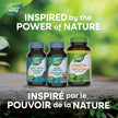 Nature's Way Horse Chestnut Supplement – Helps Treat Varicose Veins and Associated Symptoms – Digestive System Inflammation Relief – 100mg Calendula, 250mg Horse Chestnut – 90 Vegetarian Capsules 🍁 All In One Marketplace Canada