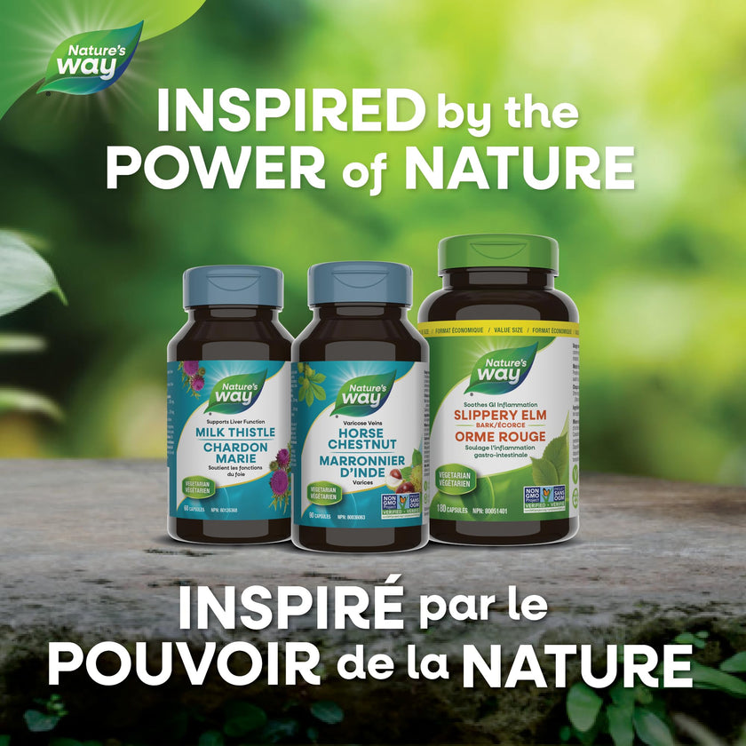 Nature's Way Horse Chestnut Supplement – Helps Treat Varicose Veins and Associated Symptoms – Digestive System Inflammation Relief – 100mg Calendula, 250mg Horse Chestnut – 90 Vegetarian Capsules 🍁 All In One Marketplace Canada