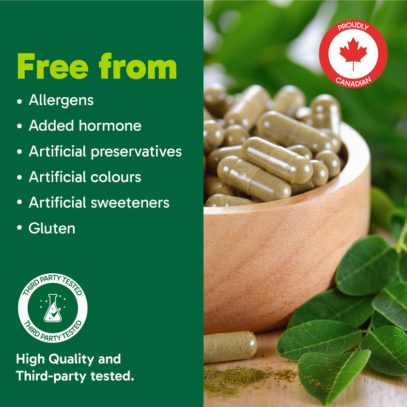 Organika Canadian-Made Moringa Leaf Extract- 1200mg Daily Dose, High Potency, Powerful Antioxidant, Anti-Inflammatory, Blood-Sugar Support, Detox, Source of Vitamins and Minerals- 120vcaps 🍁 All In One Marketplace Canada