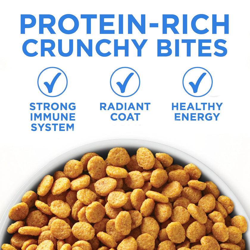 Purina ONE +Plus Dry Cat Food, Urinary Tract Formula Chicken - 3 kg Bag 🍁 All In One Marketplace Canada