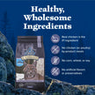 Blue Buffalo Wilderness with Chicken Natural High-Protein Grain-Free Dry Food for Adult Cats, Real Chicken First, Antioxidant-Rich LifeSource Bits Support Immunity, Promotes Strong Muscles, 12 lbs. 🍁 All In One Marketplace Canada