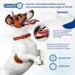 bluestem Dental Care Water Additive for Dogs & Cats – No Brushing Daily Teeth Cleaner – Pet Oral Rinse to Freshen Breath & Help Reduce Plaque – Flavorful & Easy Oral Hygiene (500 ml, Original) 🍁 All In One Marketplace Canada