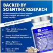 CanPrev Adrenal-Pro Recharge Yourself, 120 Vegan V-Caps with Siberian Ginseng, 30-Day Supply with Ashwagandha, Astragalus, L-Tyrosine, B5 & B6 - Supports Energy Levels, Physical and Mental Vitality 🍁 All In One Marketplace Canada
