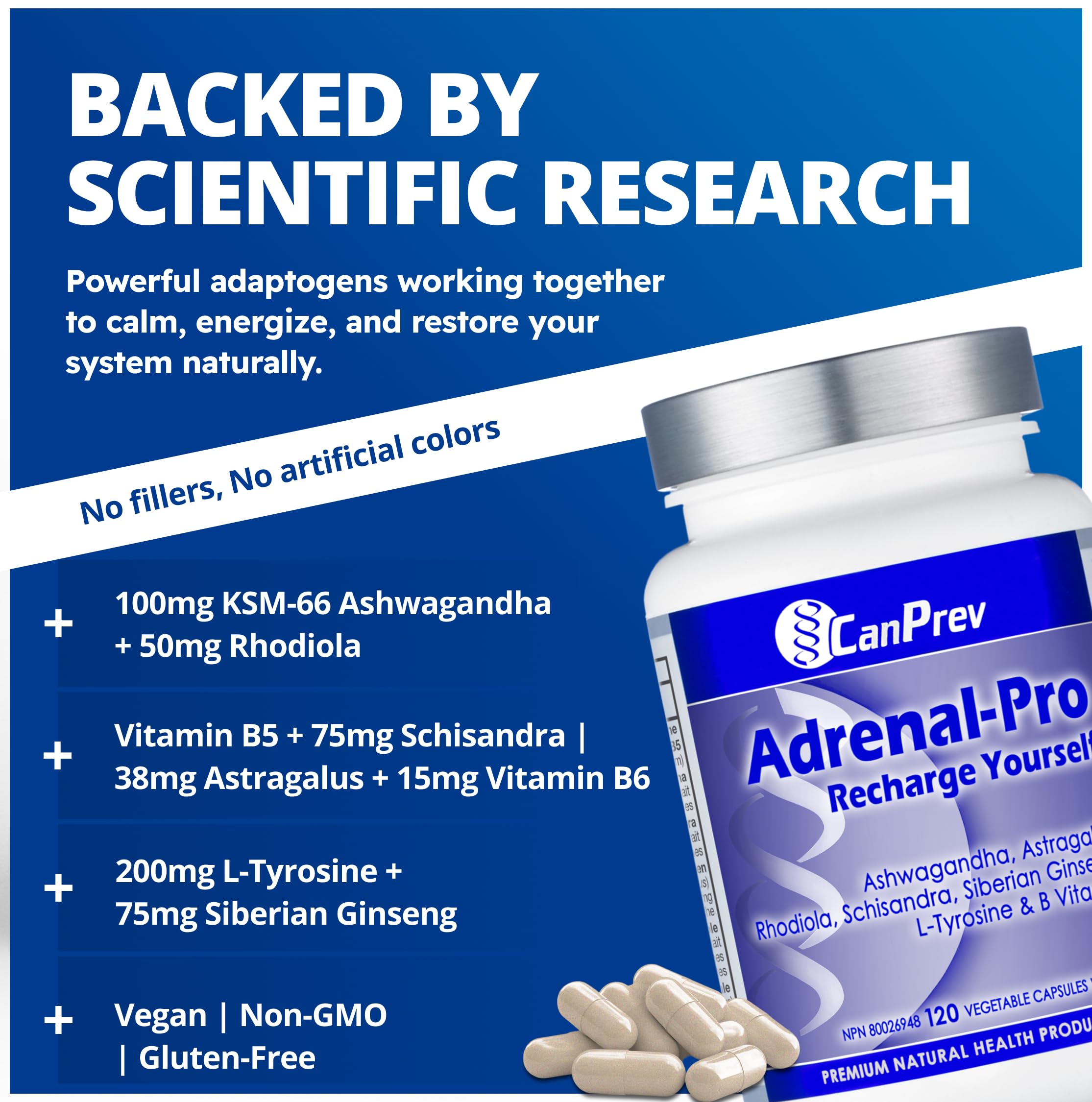 CanPrev Adrenal-Pro Recharge Yourself, 120 Vegan V-Caps with Siberian Ginseng, 30-Day Supply with Ashwagandha, Astragalus, L-Tyrosine, B5 & B6 - Supports Energy Levels, Physical and Mental Vitality 🍁 All In One Marketplace Canada