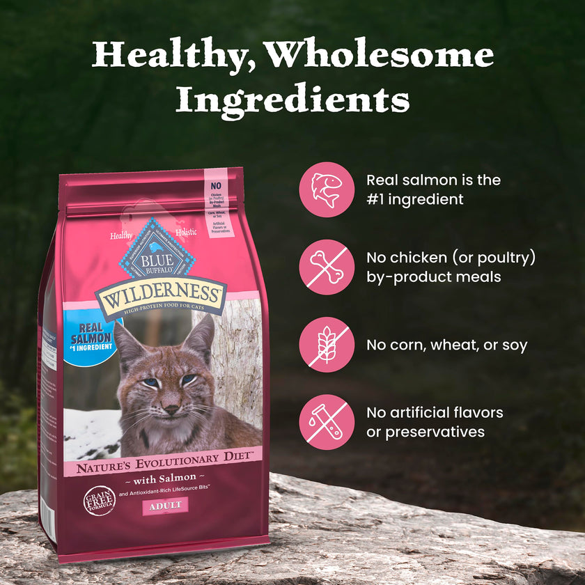 Blue Buffalo Wilderness with Salmon Natural High-Protein Grain-Free Dry Food for Adult Cats, Real Salmon First, Antioxidant-Rich LifeSource Bits Support Immunity, Promotes Strong Muscles, 2.2kg/5 lbs. 🍁 All In One Marketplace Canada