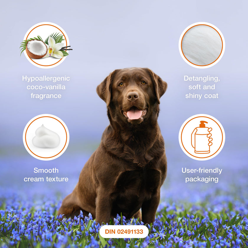Douxo S3 Pyo Mousse, Contains 3% Chlorhexidine, for Dogs, 5.1 fl. oz. (150mL) 🍁 All In One Marketplace Canada