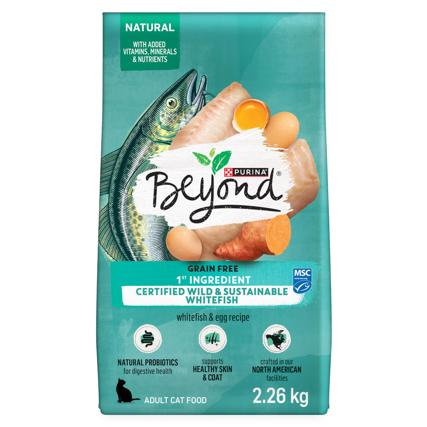 Beyond Grain Free Natural Dry Cat Food, Wild-Caught Whitefish & Free Run Egg - 2.26 kg Bag 🍁 All In One Marketplace Canada