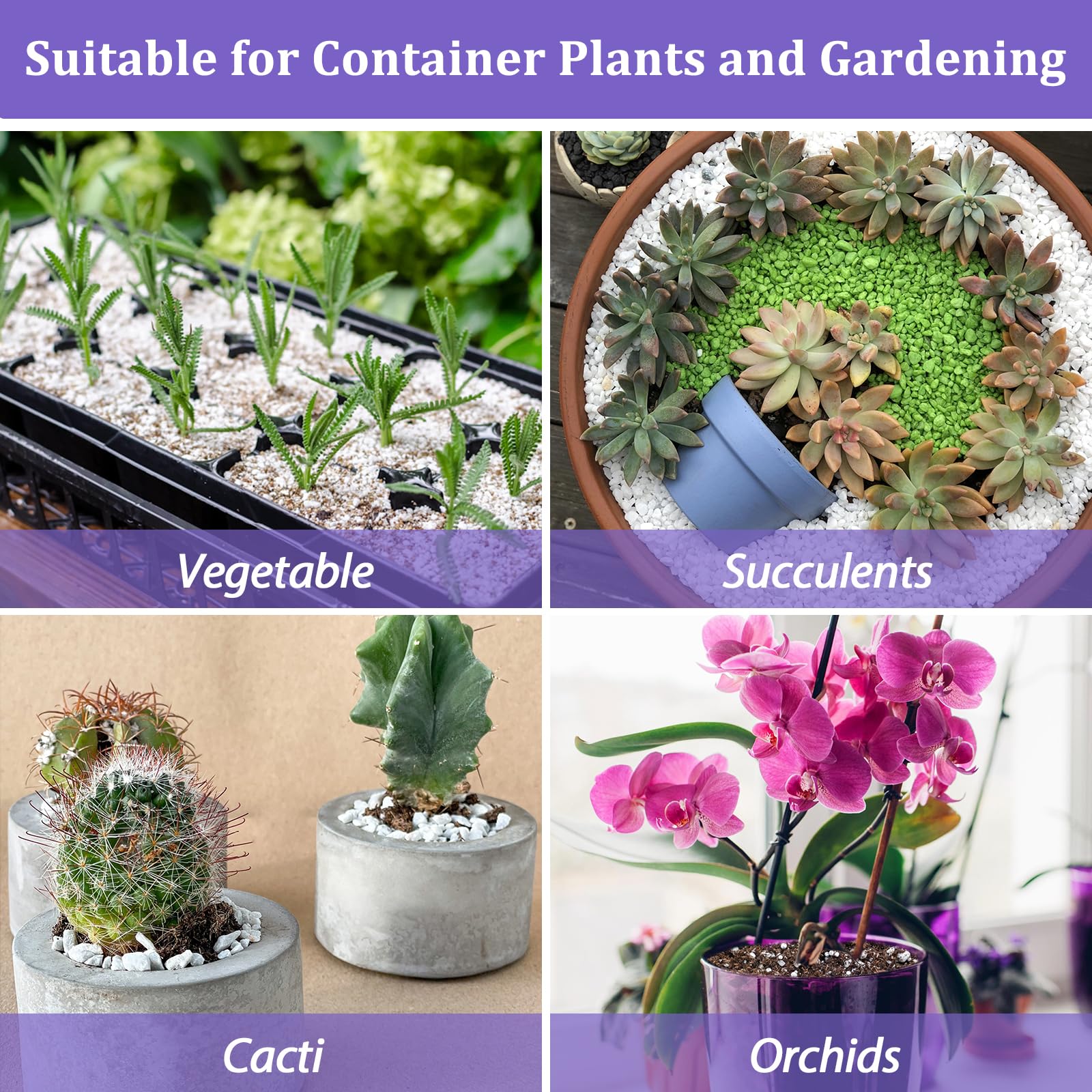 Riare 10 litres Organic Perlite for Plants - Horticultural Perlite Soil Amendment for Plants Potting Mix, Improve Root Growth, Drainage and Ventilation 🍁 All In One Marketplace Canada