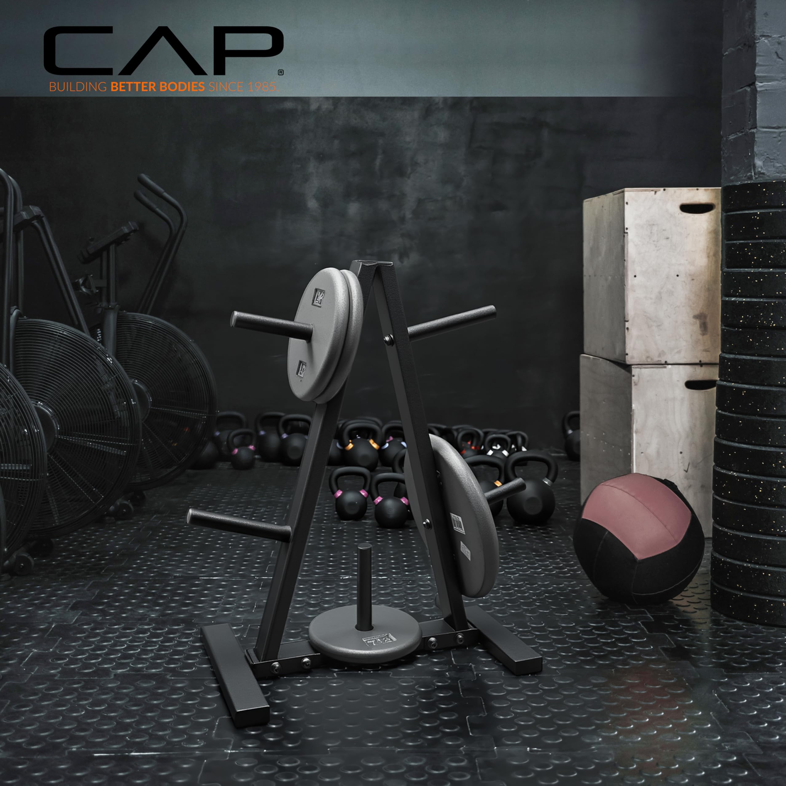 CAP Barbell 1-Inch Standard Weight Plate Rack | Black 🍁 All In One Marketplace Canada