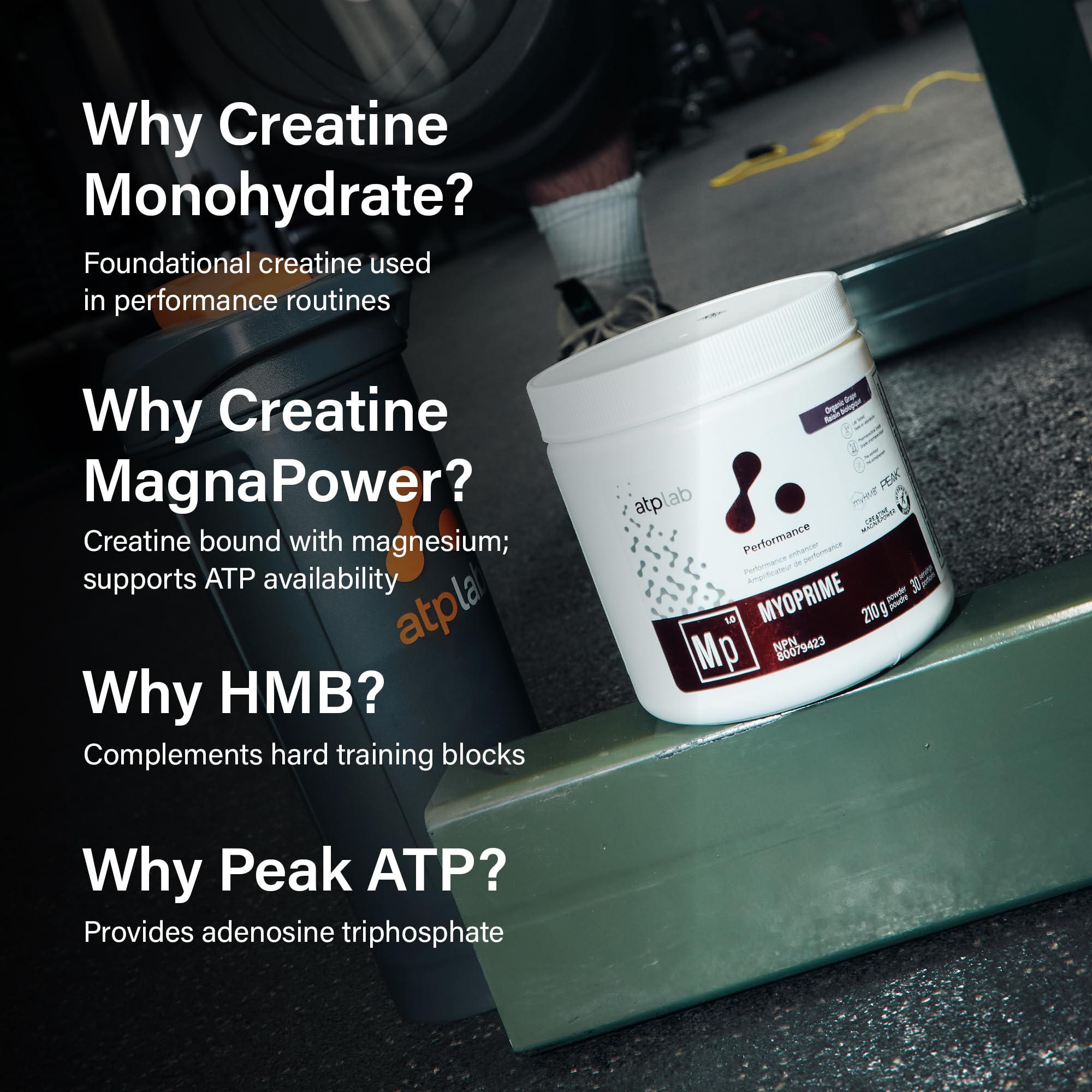 atplab Myoprime Creatine Monohydrate Powder, Creatine, Organic Grape, 210 g 🍁 All In One Marketplace Canada