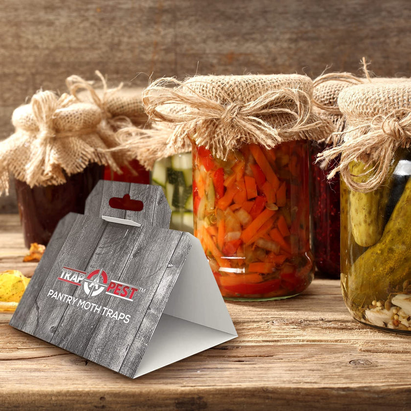 20 Pack Pantry Moth Traps - Safe and Effective for Food and Cupboard - Glue Traps with Pheromones for Pantry Moths - Trap a Pest 🍁 All In One Marketplace Canada