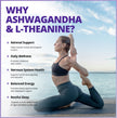 CanPrev Adrenal Chill Women, 90 Veg Capsules, 45-Day Supply with 300mg KSM-66 Ashwagandha & L-Theanine for Calm Focus & Relaxation, Non-GMO, Made in Canada 🍁 All In One Marketplace Canada