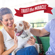 Nature’s Miracle Urine Destroyer Plus Dog, 32 Ounces, Enzymatic Formula, Ready-to-Use 🍁 All In One Marketplace Canada